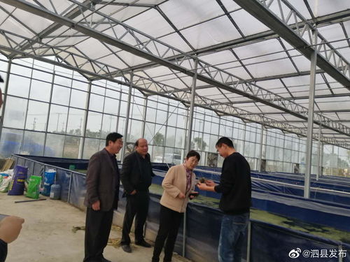 安徽宿州泗縣畜牧水產(chǎn)中心領(lǐng)導(dǎo)班子深入一線，開(kāi)展工廠化水產(chǎn)養(yǎng)殖市場(chǎng)專題調(diào)研